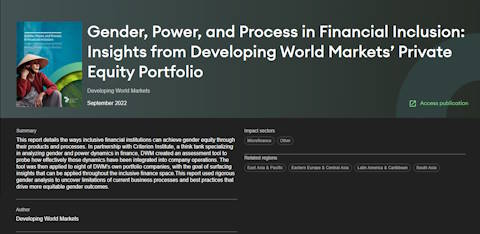 Publication - Gender, Power, and Process in Financial Inclusion: Insights from Developing World Markets’ Private Equity Portfolio